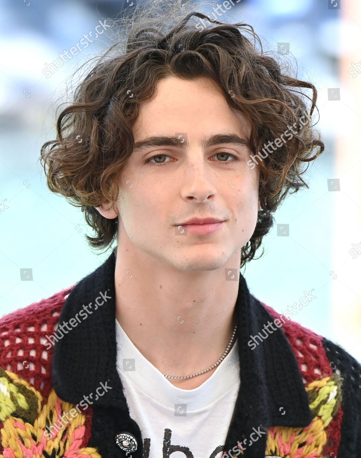 Timothee Chalamet Editorial Stock Photo - Stock Image | Shutterstock