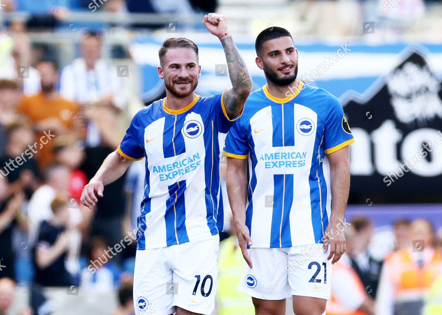 alexis-mac-allister-brighton-hove-albion-editorial-stock-photo-stock