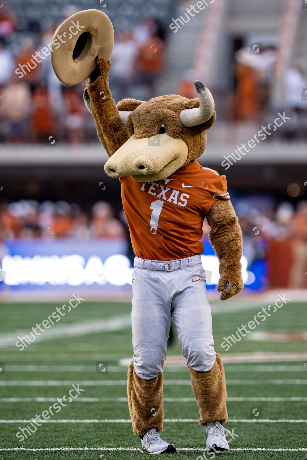 Bevo Mascot Texas Longhorns Action Vs Editorial Stock Photo Stock