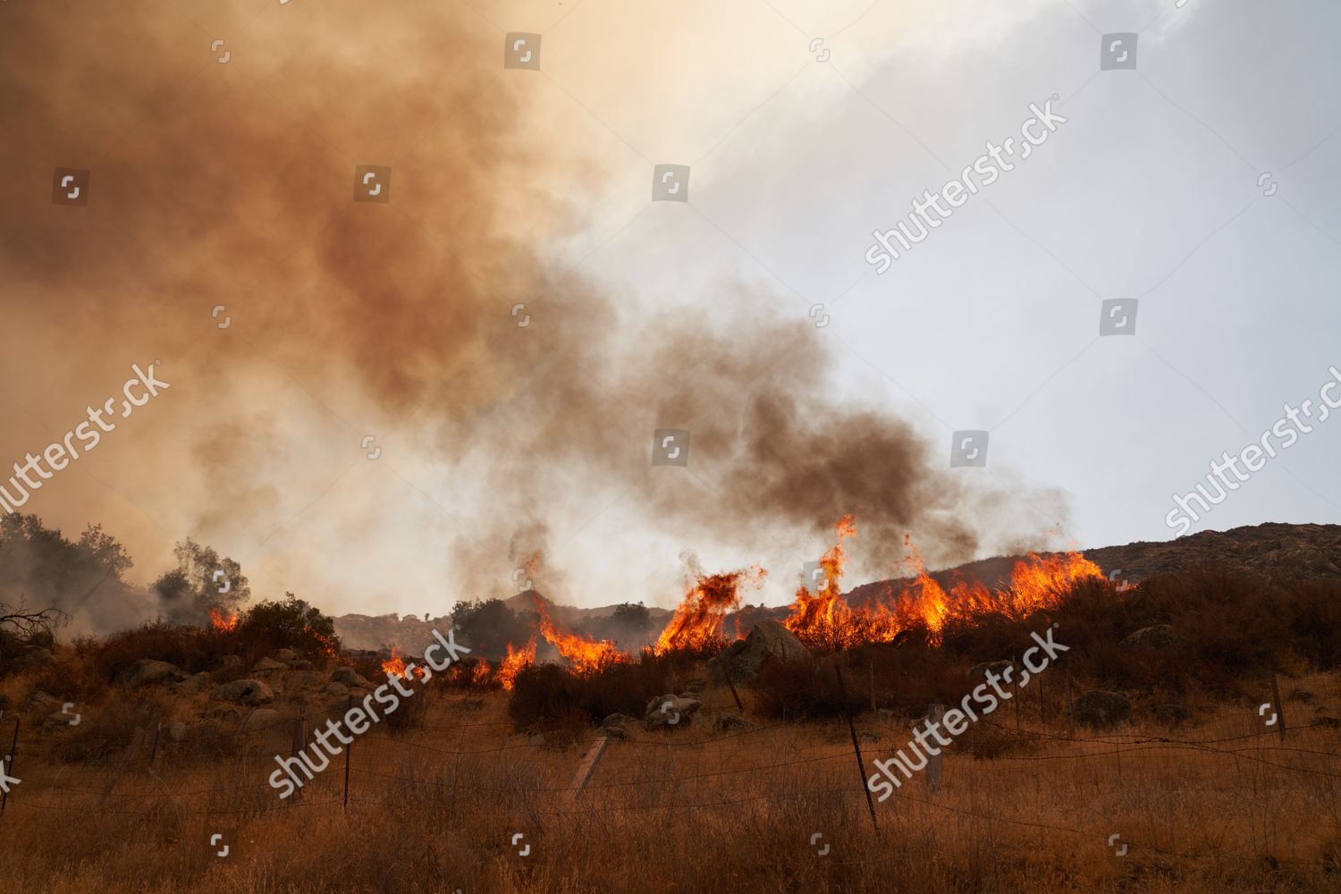Fairview Fire Burns Along Gibbel Road Editorial Stock Photo Stock