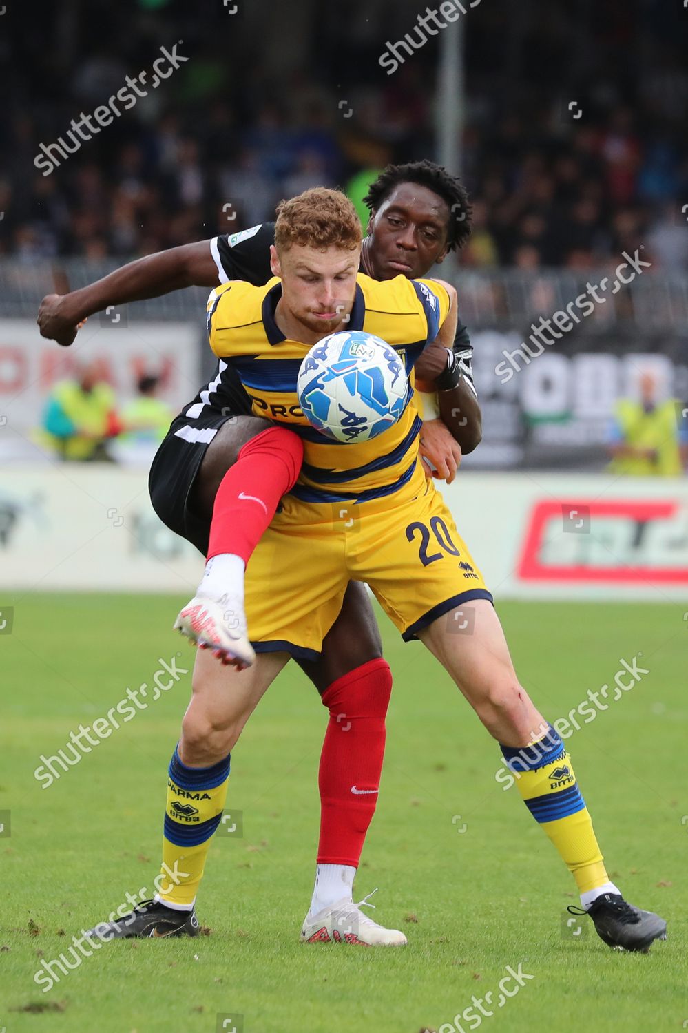 Antoine Hainaut Parma Calcio Editorial Stock Photo - Stock Image ...