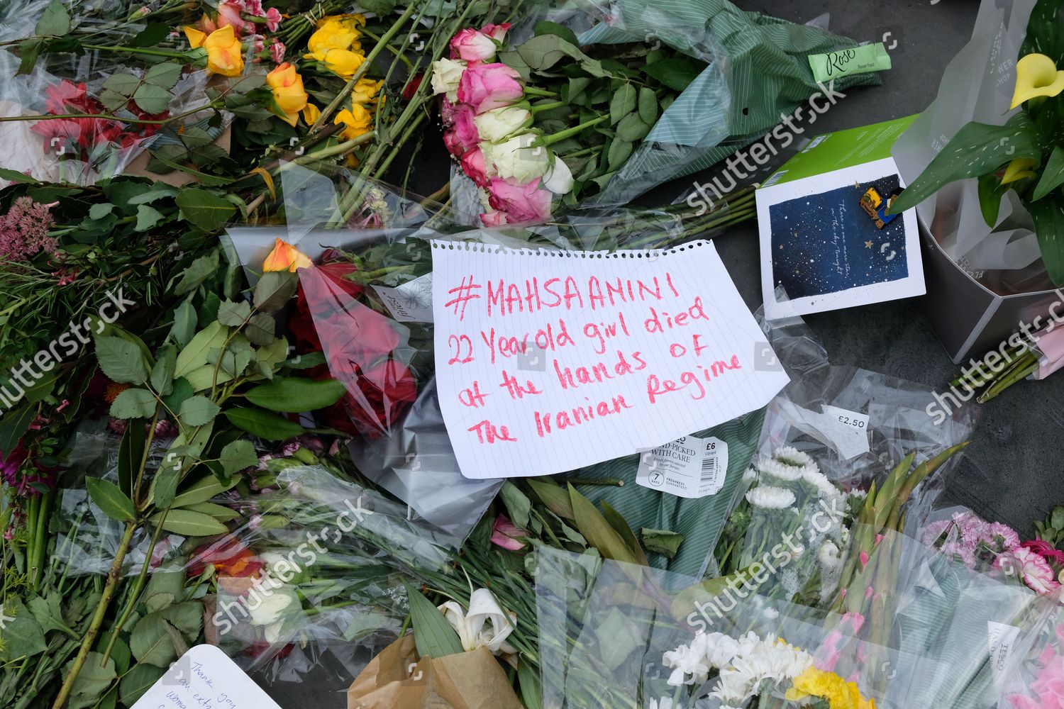 Protest Trafalgar Square Against Death Mahsa Editorial Stock Photo