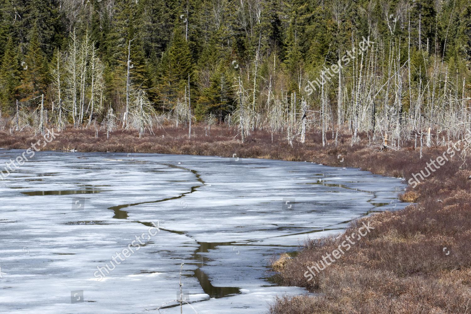 Thaw Lake Spring Editorial Stock Photo - Stock Image | Shutterstock