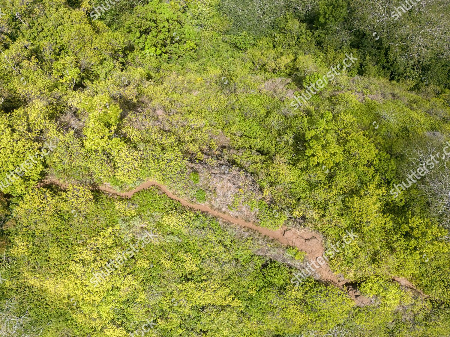 Aerial View Sleeping Giant East Trailhead Editorial Stock Photo Stock