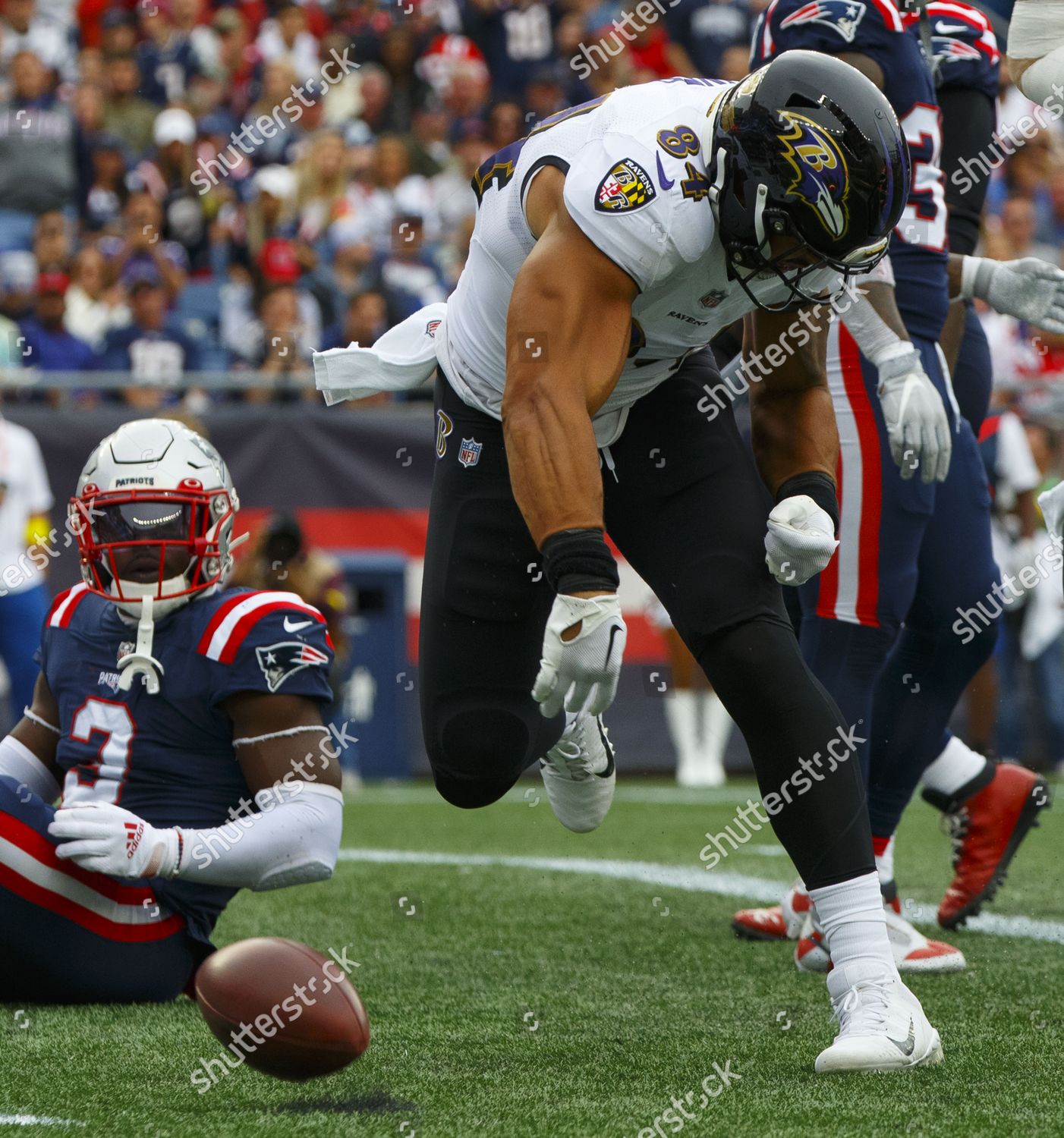 Baltimore Ravens Tight End Josh Oliver Editorial Stock Photo