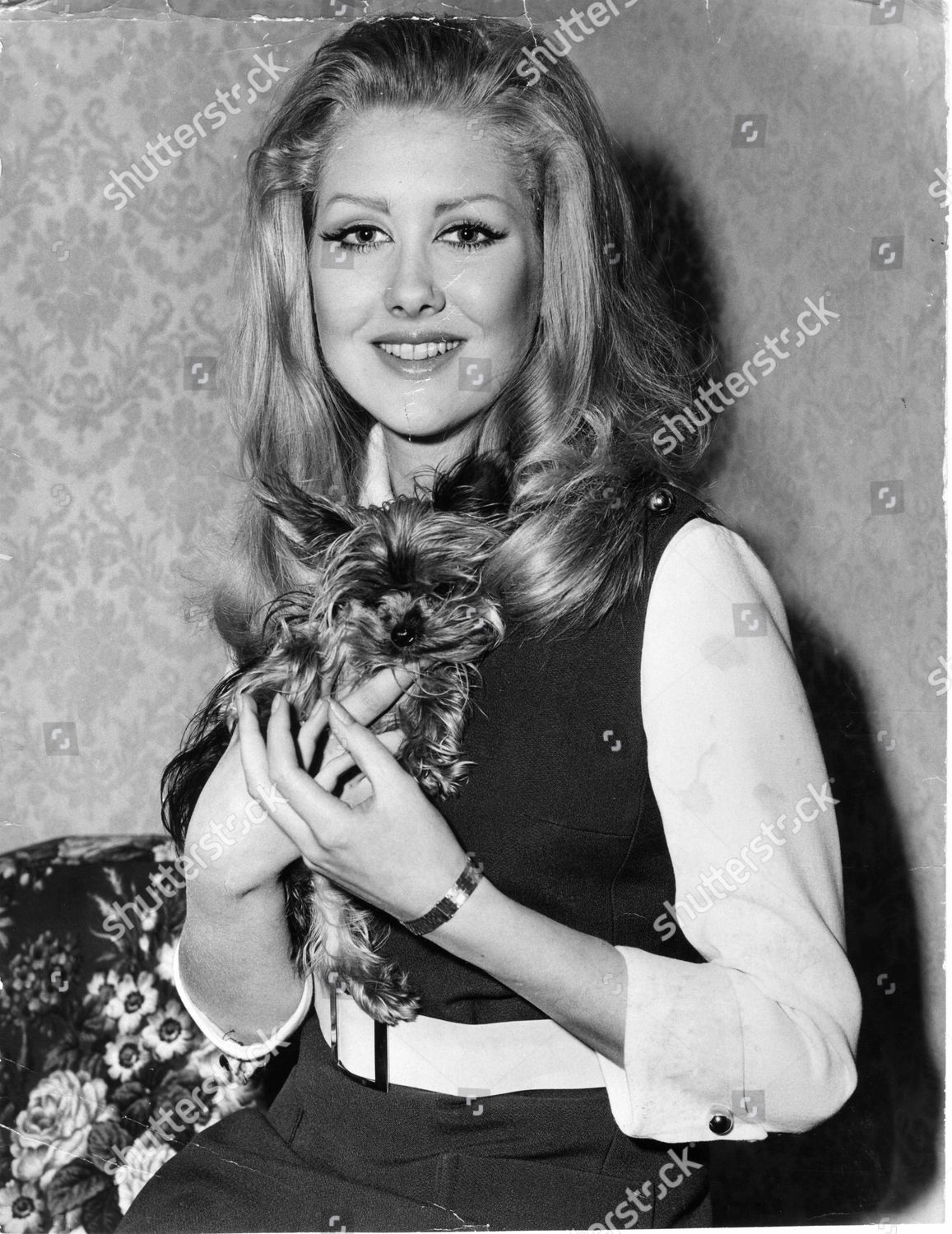 Penny Brahms images images Penny Brahms