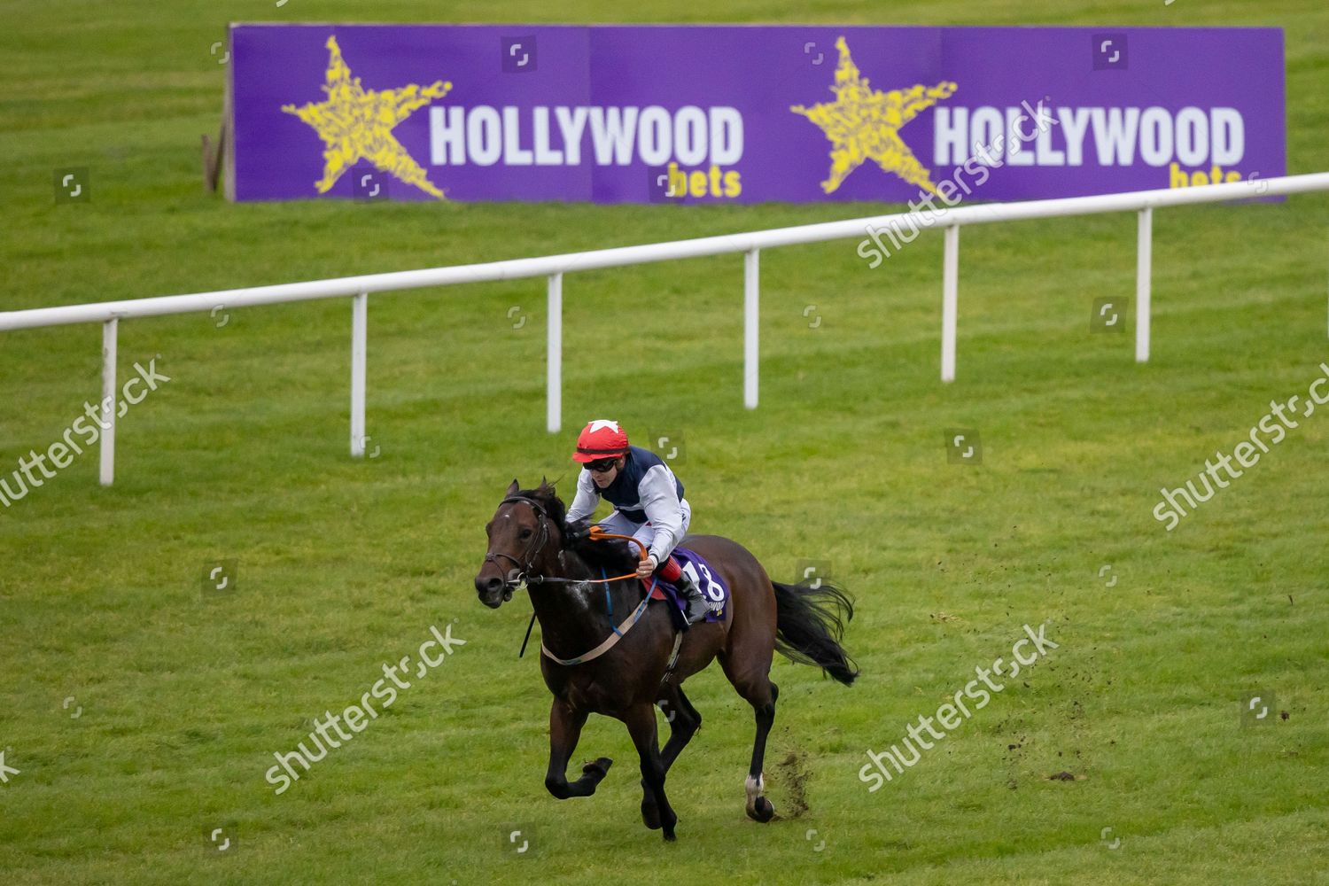 Hollywoodbets First Past Post Promotion Handicap Editorial Stock Photo