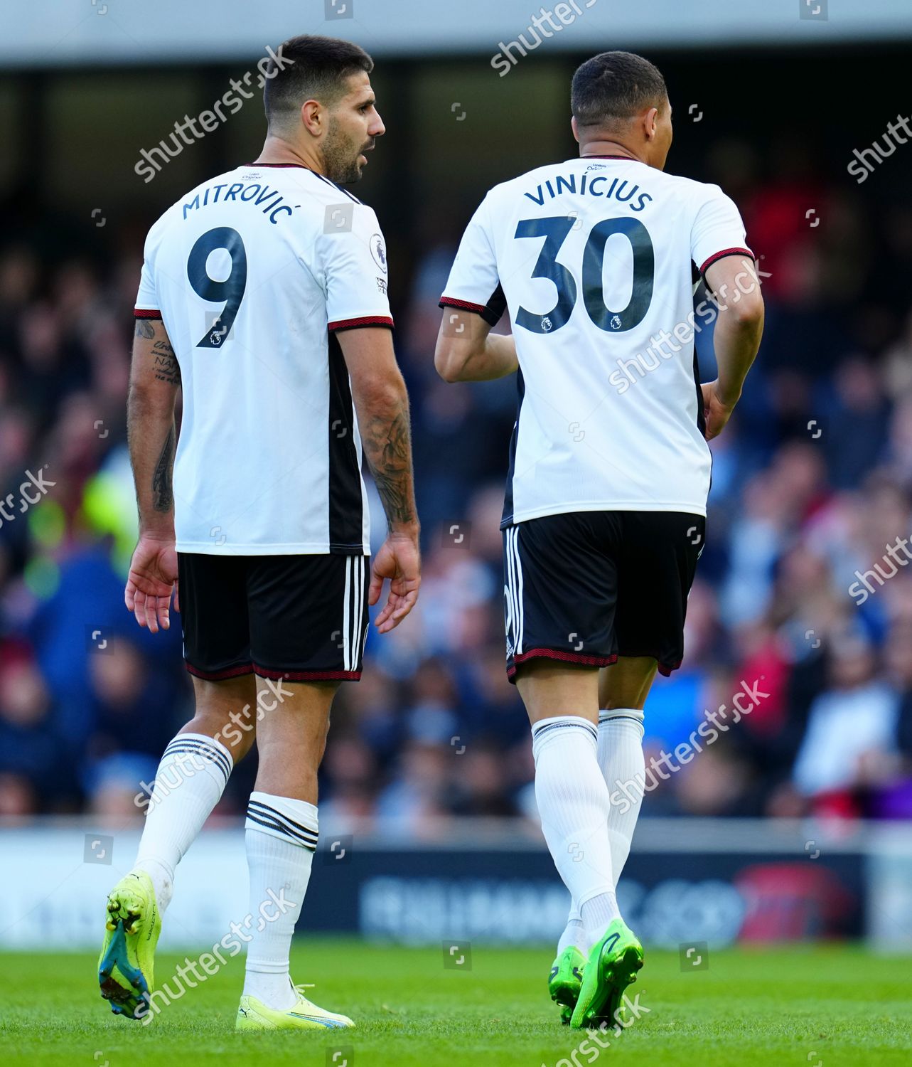 Fulham Strikers Aleksandar Mitrovic Carlos Vinicius Editorial Stock Photo Stock Image