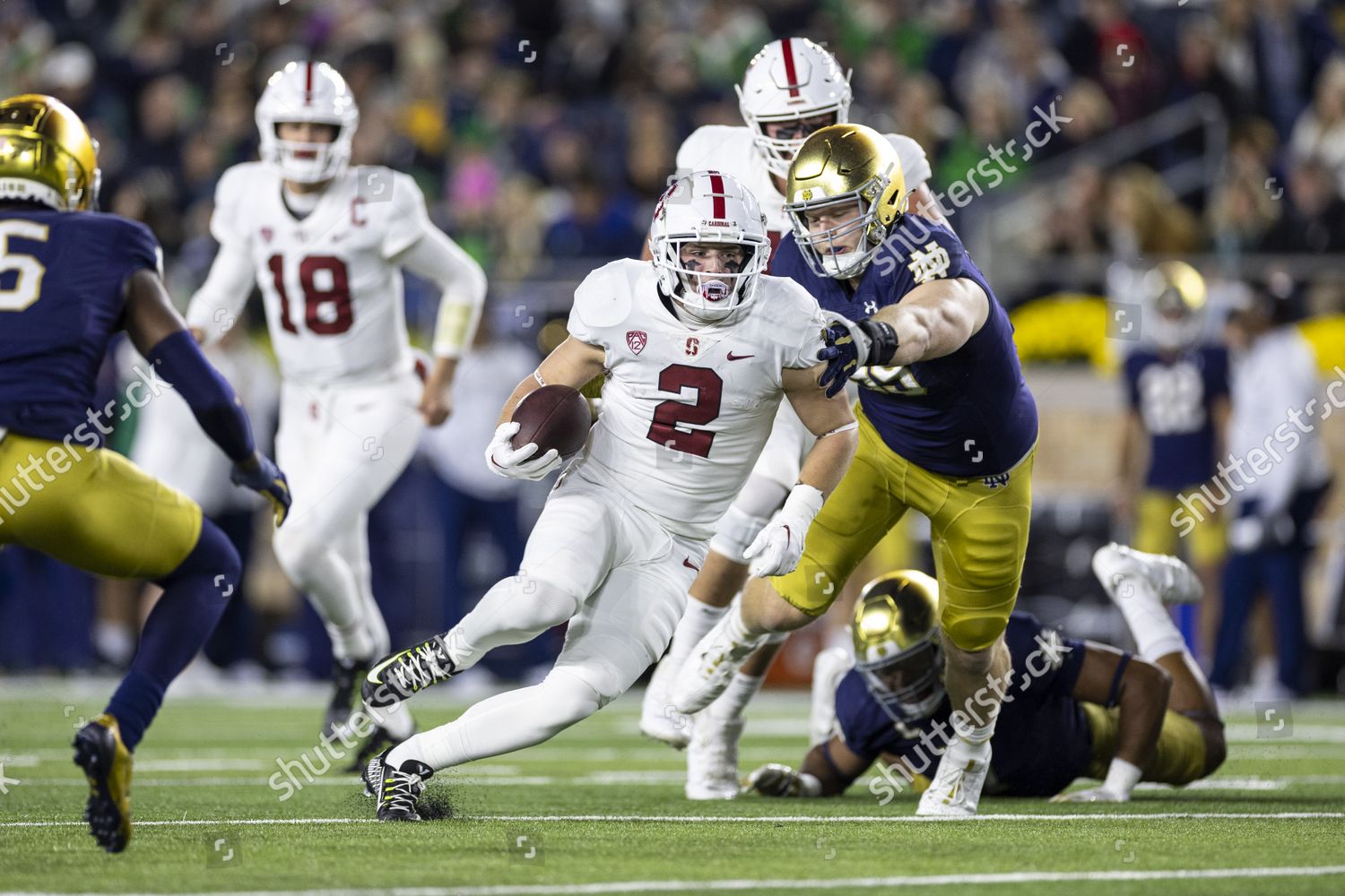 Stanford Running Back Casey Filkins 2 Editorial Stock Photo - Stock ...