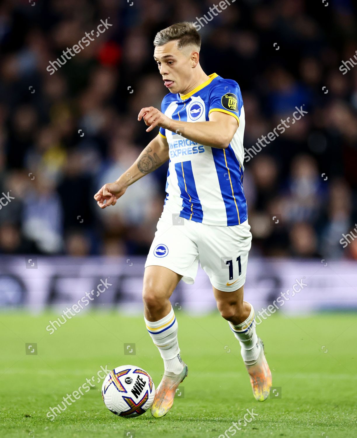 Leandro Trossard Brighton Hove Albion Editorial Stock Photo - Stock ...