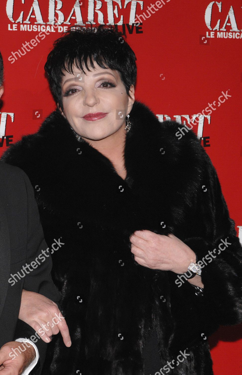 Us Singing Acting Legend Liza Minnelli Editorial Stock Photo Stock