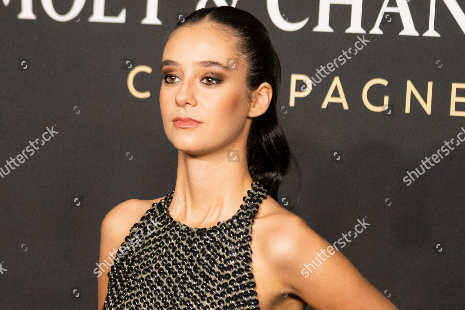 Moet Chandon Celebrates Christmas Crystal Palace Editorial Stock Photo ...