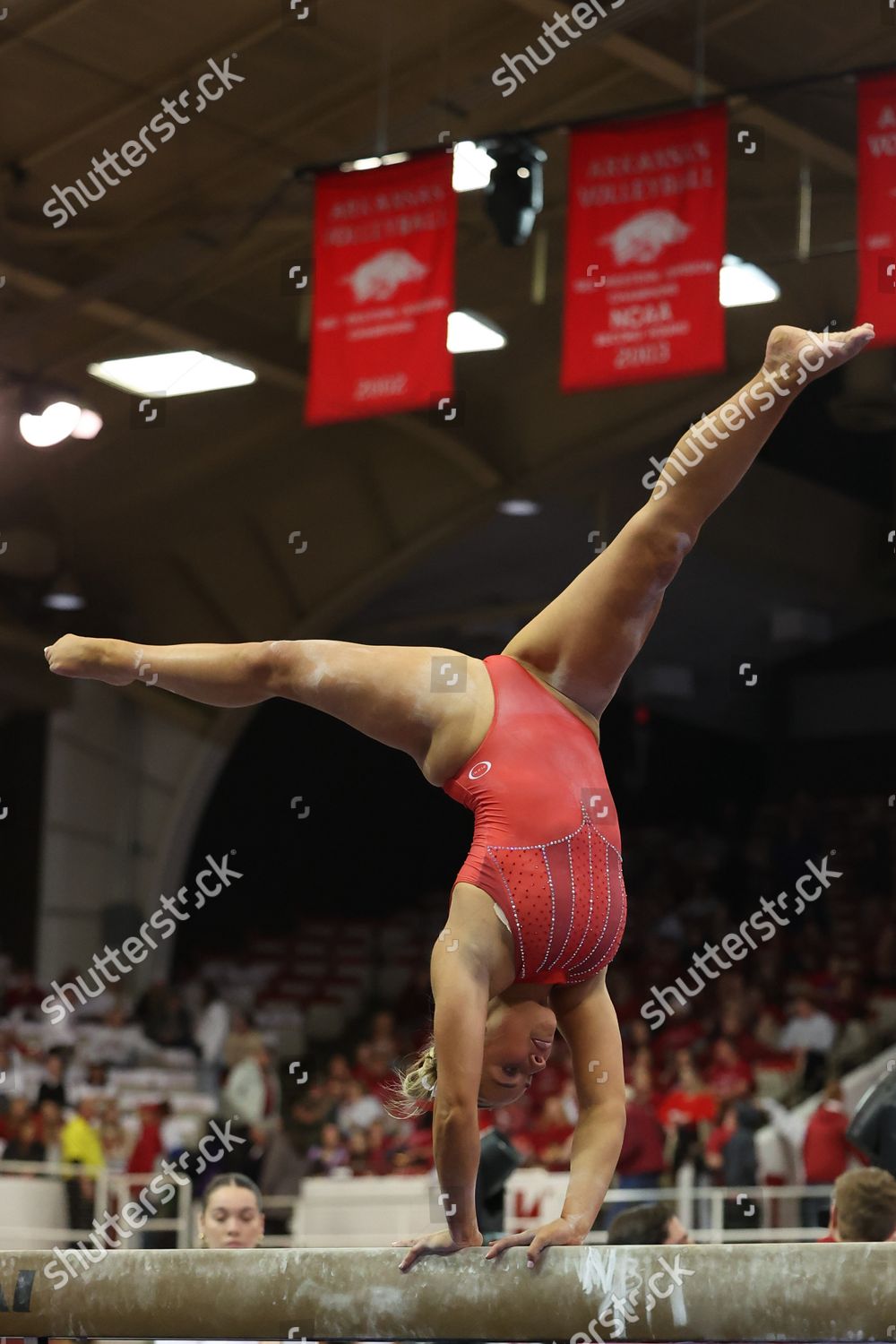 Razorback Gymnast Cally Swaney During Beam Editorial Stock Photo