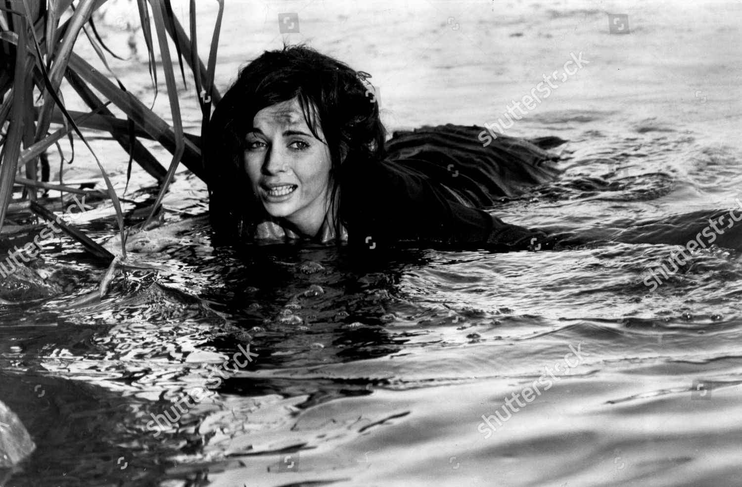 Lorri Bagley USA,Nisha Kothari Erotic images Sarah Jayne Dunn (born 1981),Daphne Maxwell Reid Lilia Dizon (b. 1928) Porn movies Suzanne Kaaren,Lakshmi Manchu