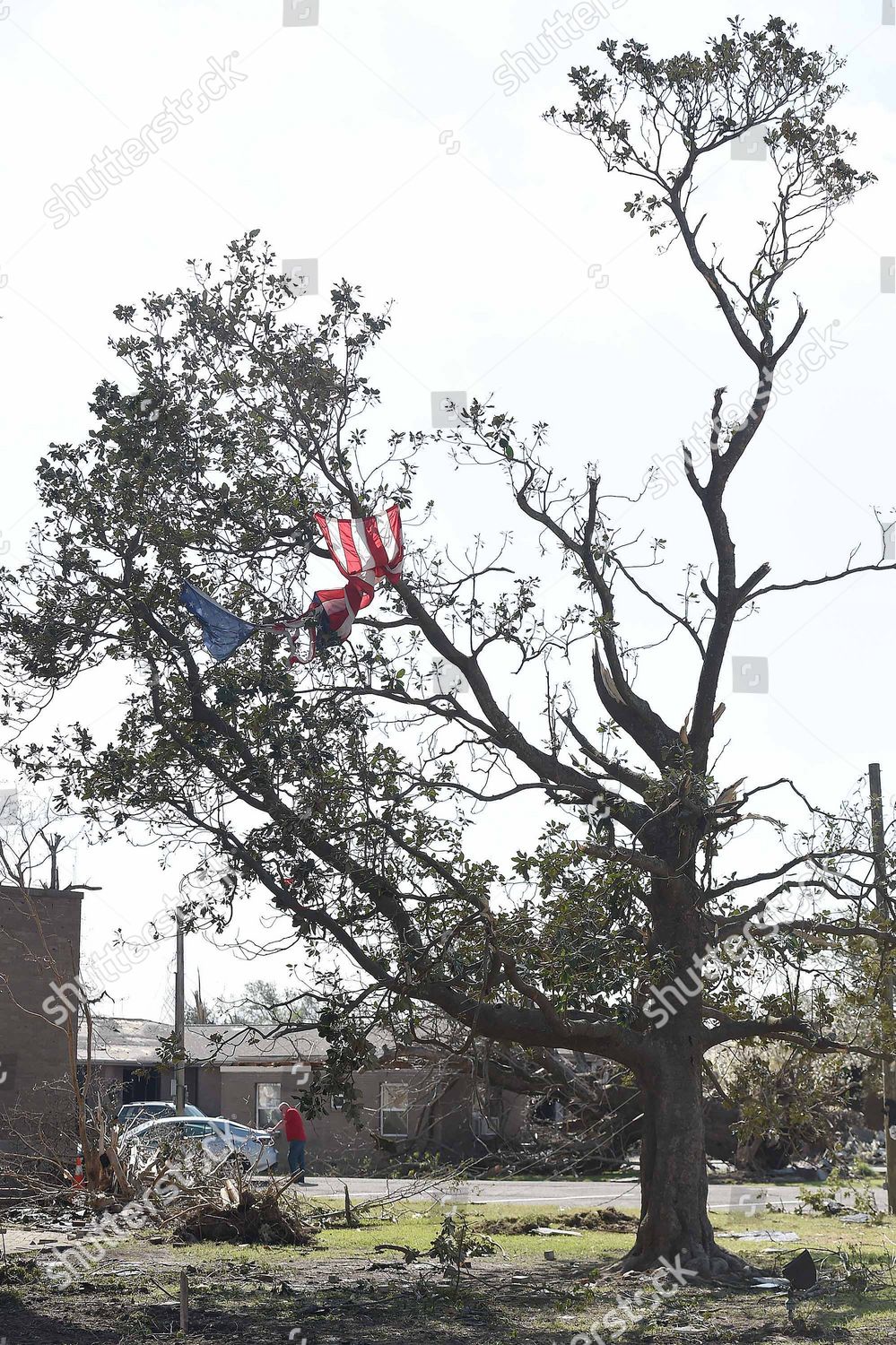 Sharkey County Courthouse Downtown Rolling Fork Editorial Stock Photo Stock Image Shutterstock