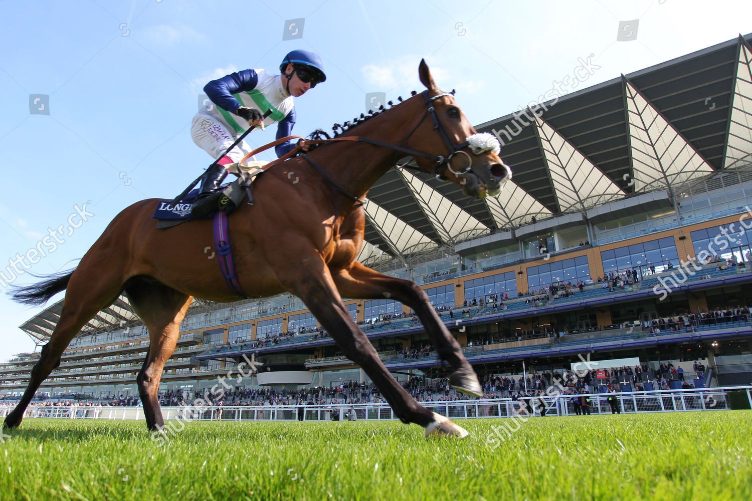 Coltrane Oisin Murphy Win Longines Sagaro Editorial Stock Photo