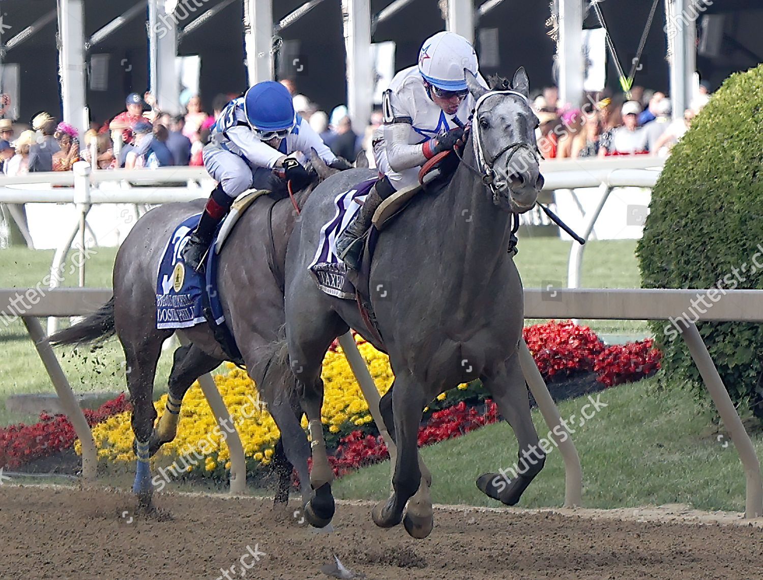 Coverage of the 148th Preakness Stakes - The Baltimore Banner