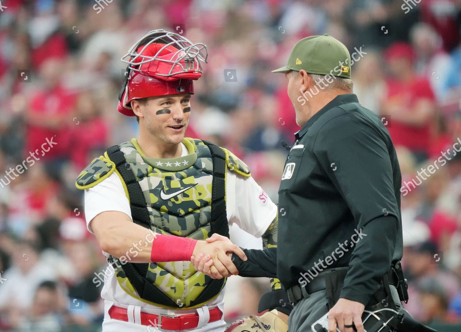 St Louis Cardinals Catcher Andrew Knizner Editorial Stock Photo - Stock  Image