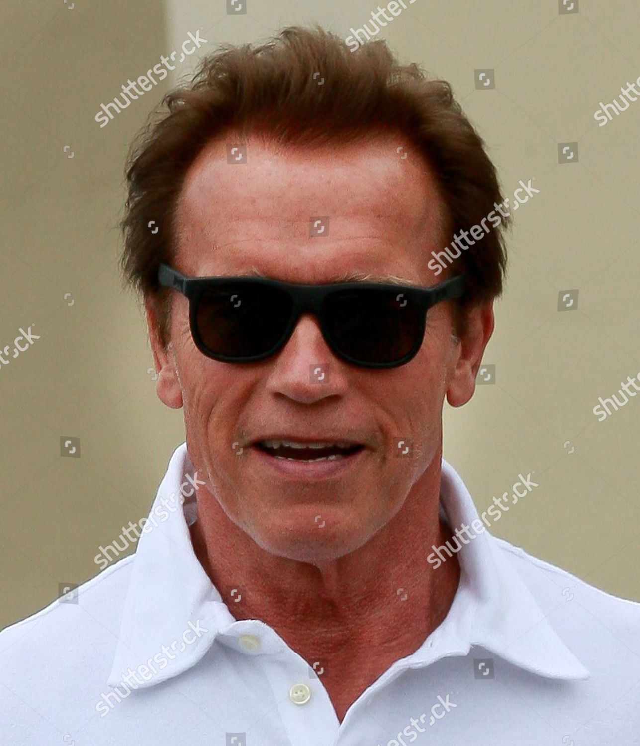 Arnold Schwarzenegger Editorial Stock Photo - Stock Image | Shutterstock