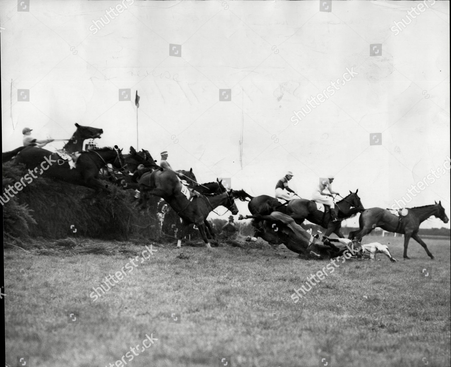 1949 Grand National Horses Going Over Editorial Stock Photo Stock 1949 grand national horses going over editorial stock photo stock