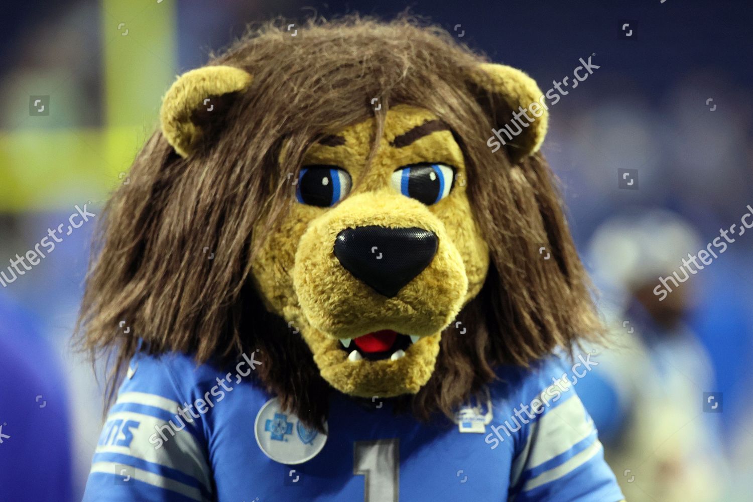 Detroit Lions Mascot - Roary