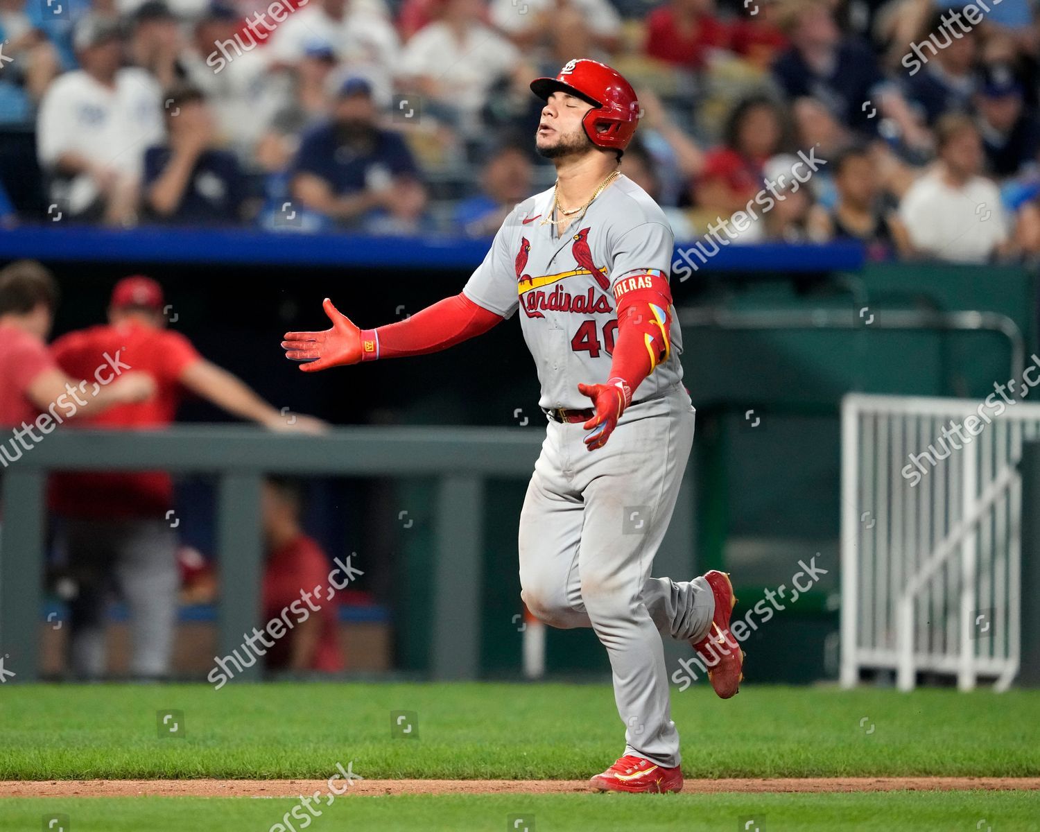 St Louis Cardinals Catcher Willson Contreras Editorial Stock Photo - Stock  Image