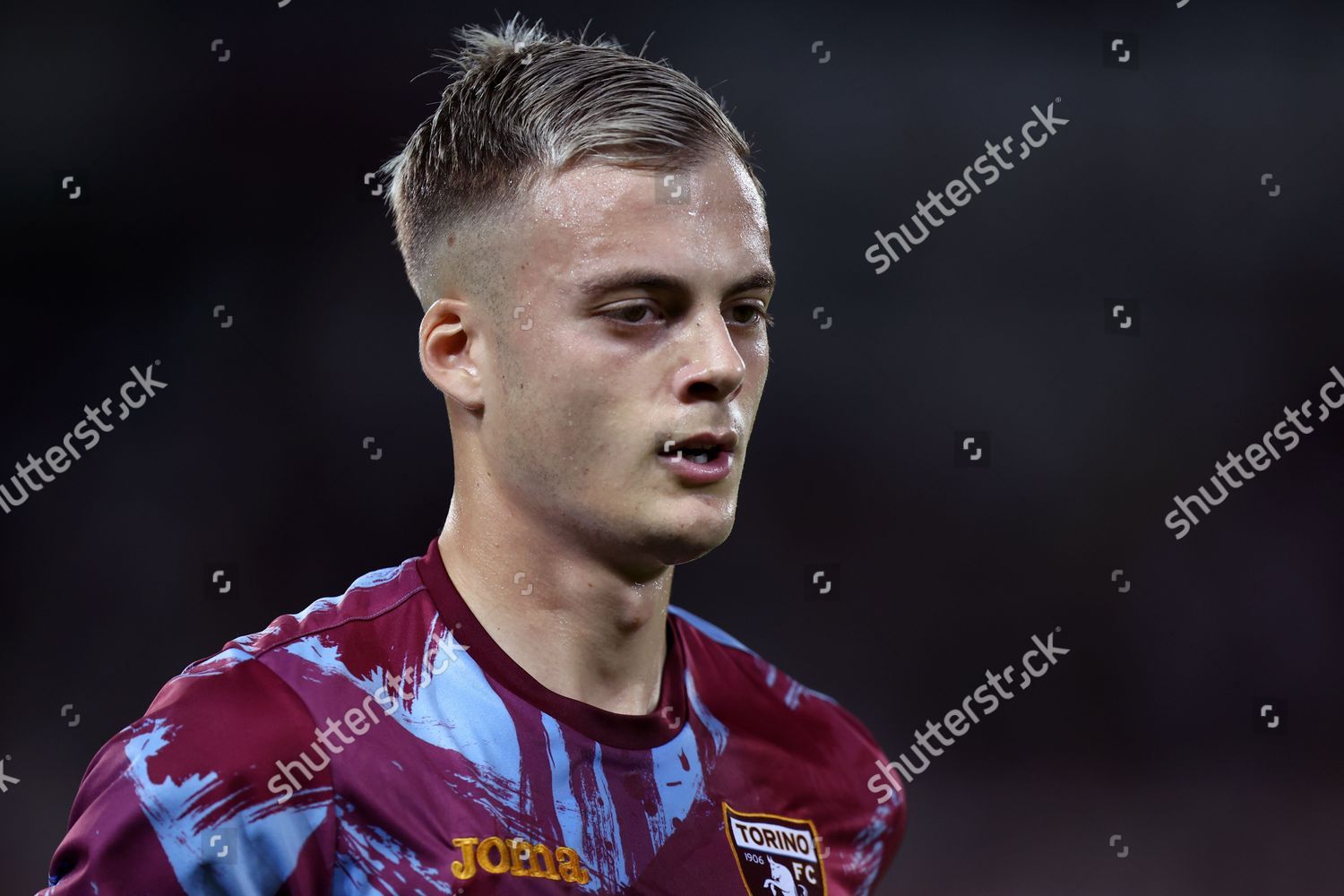 Ivan Ilic Torino Fc Celebrates Goal Editorial Stock Photo - Stock Image