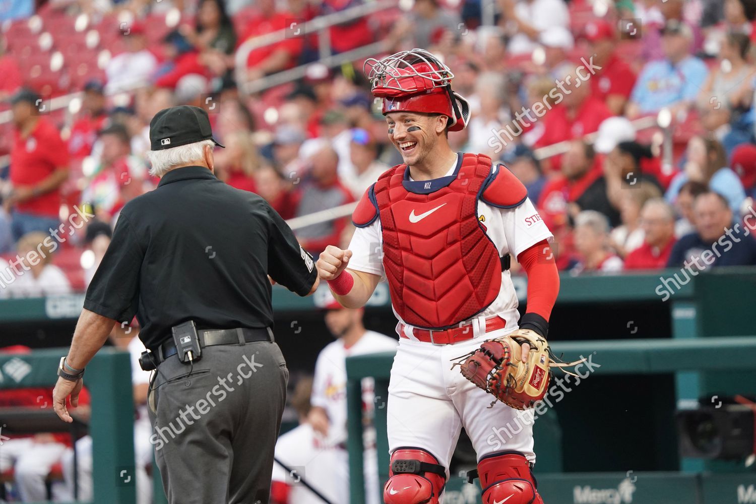 St Louis Cardinals Catcher Andrew Knizner Editorial Stock Photo