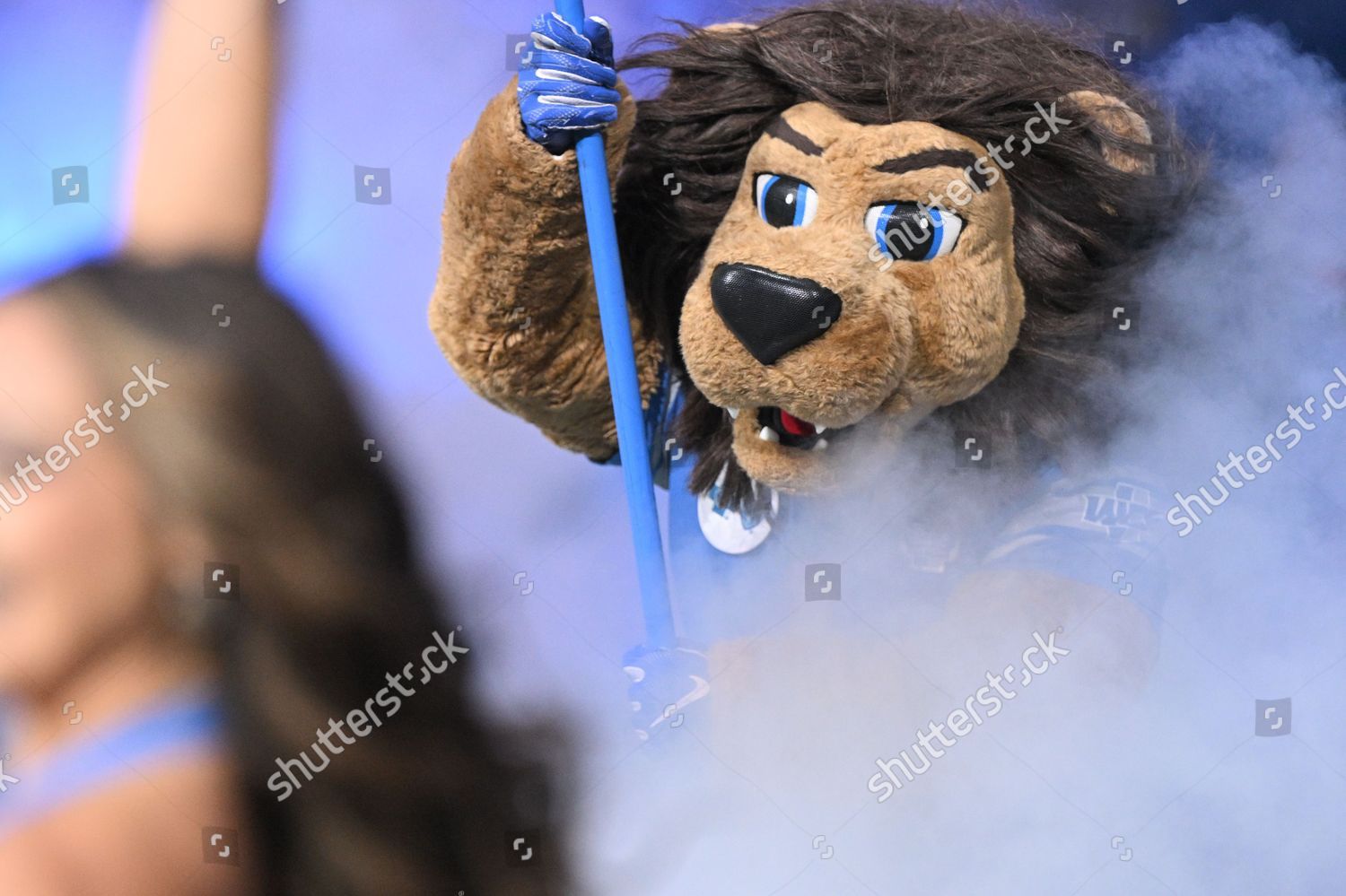 Detroit Lions Mascot - Roary