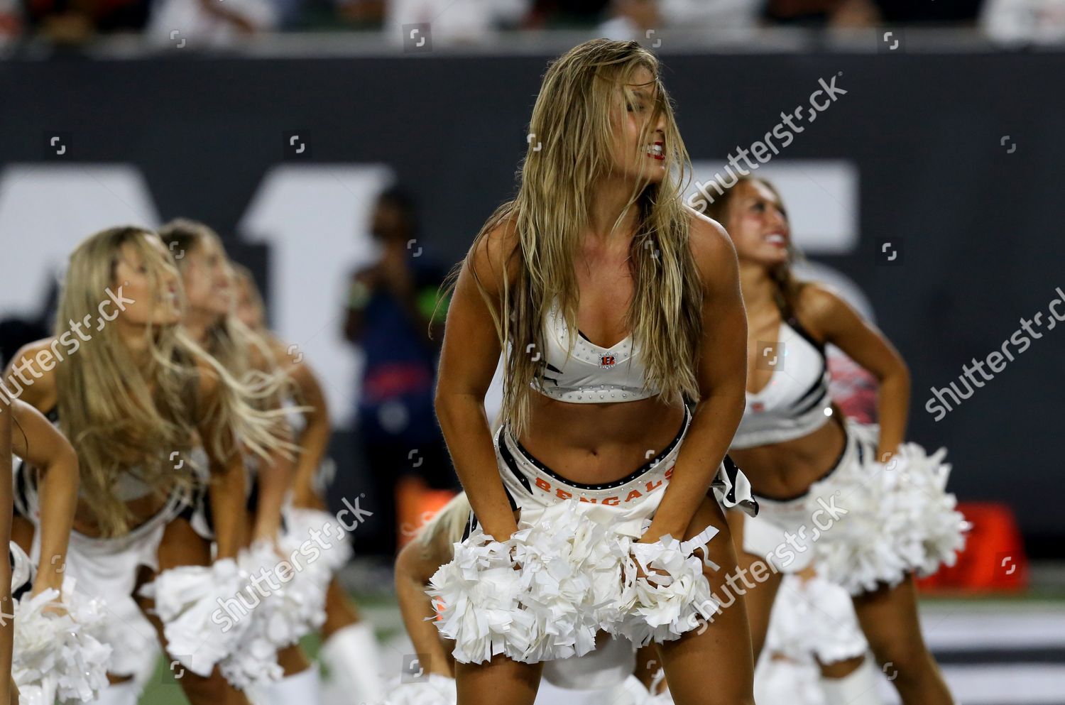 Cincinnati Bengals cheerleaders cheer for their team against the