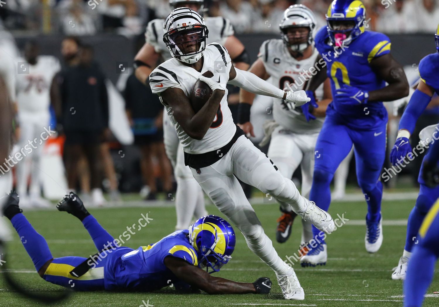 Cincinnati Bengals Wide Receiver Tee Higgins Editorial Stock Photo - Stock  Image