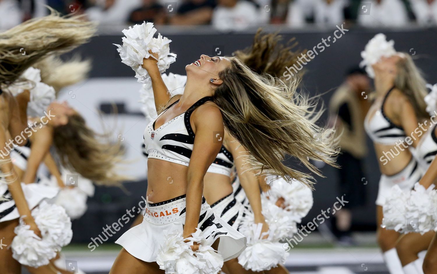 Cincinnati Bengals cheerleaders cheer for their team against the