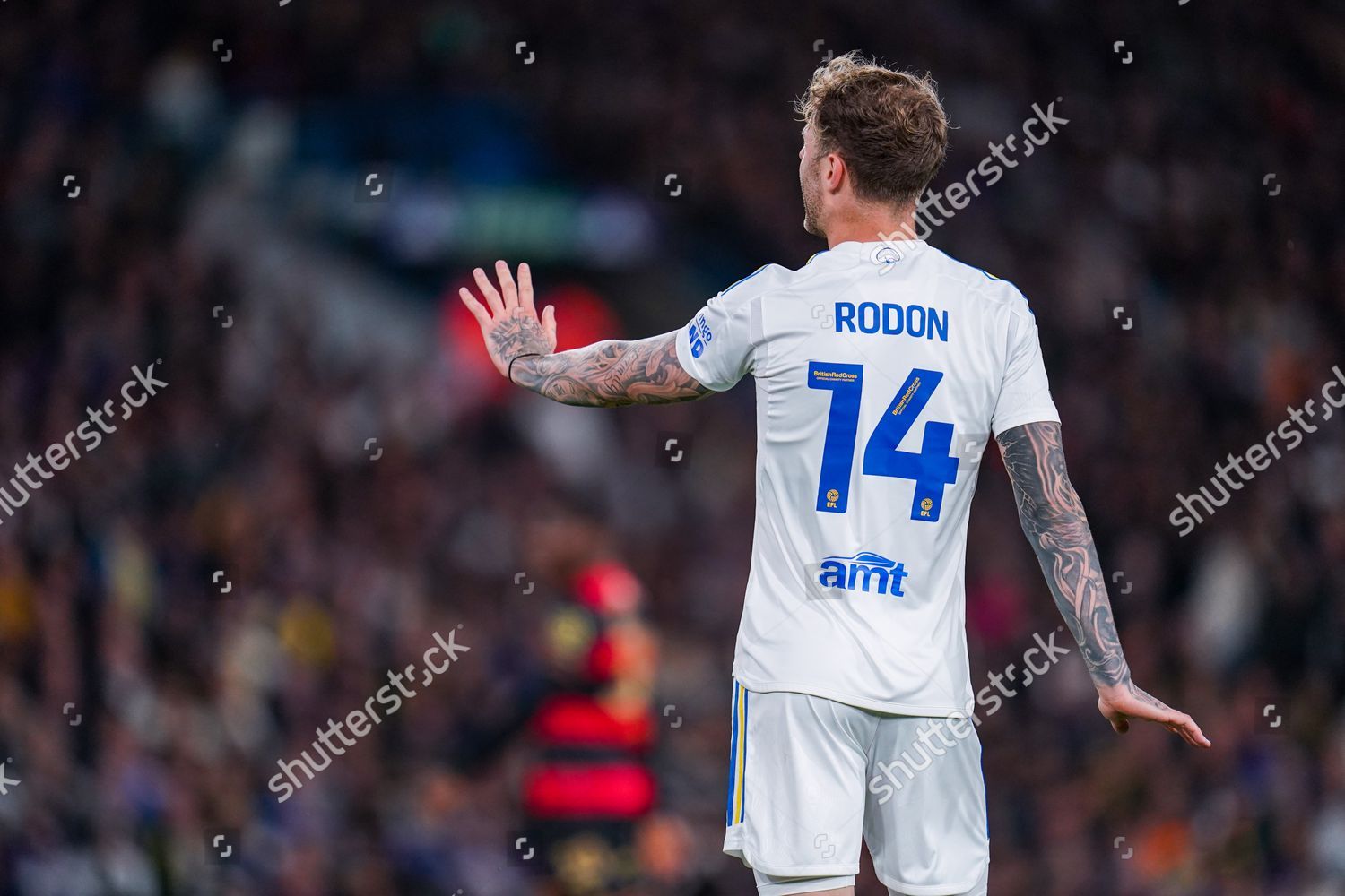 Leeds United Defender Joe Rodon 14 Editorial Stock Photo - Stock