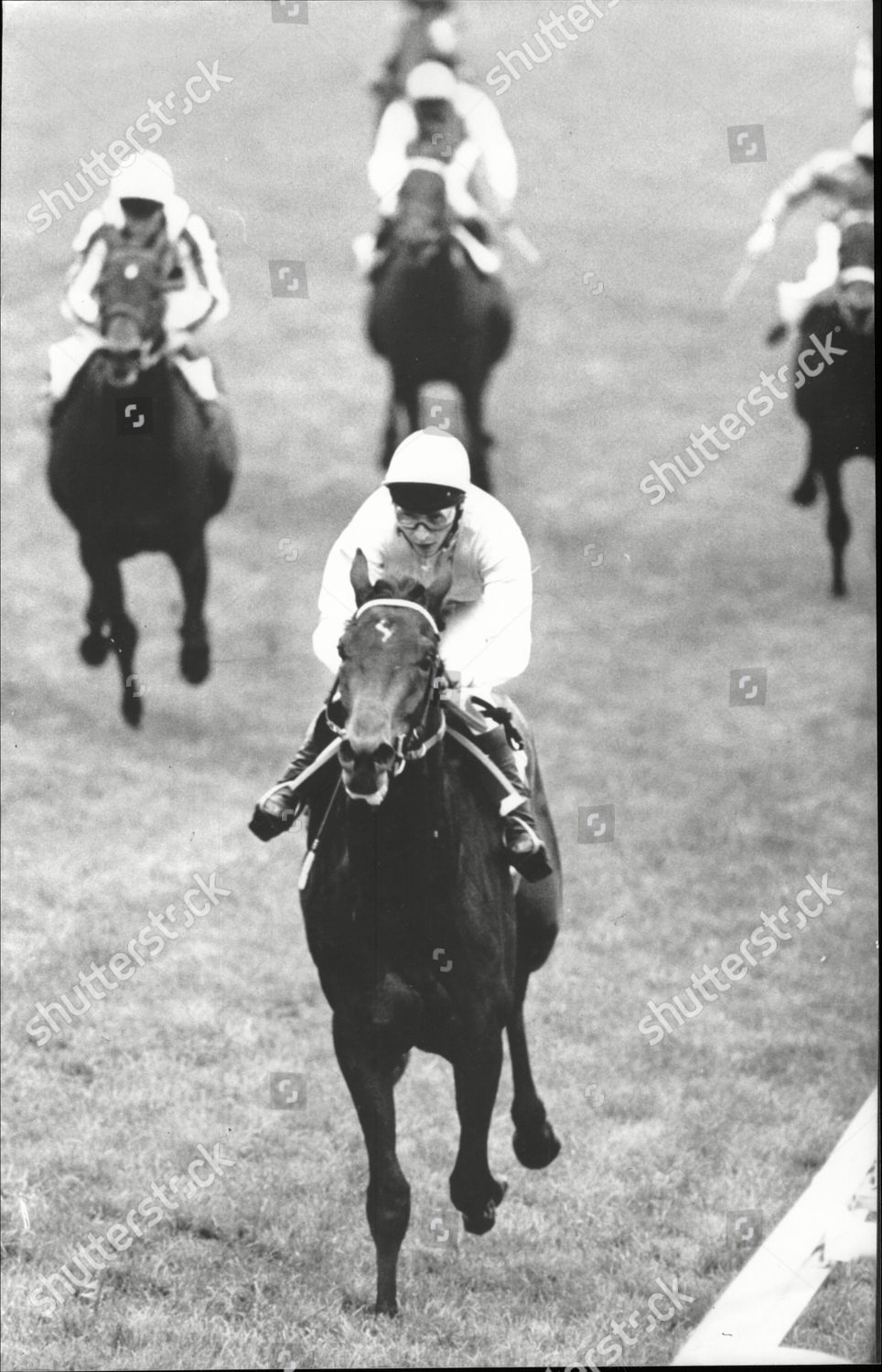 Racehorse Slip Anchor Jockey Steve Cauthen Editorial Stock Photo