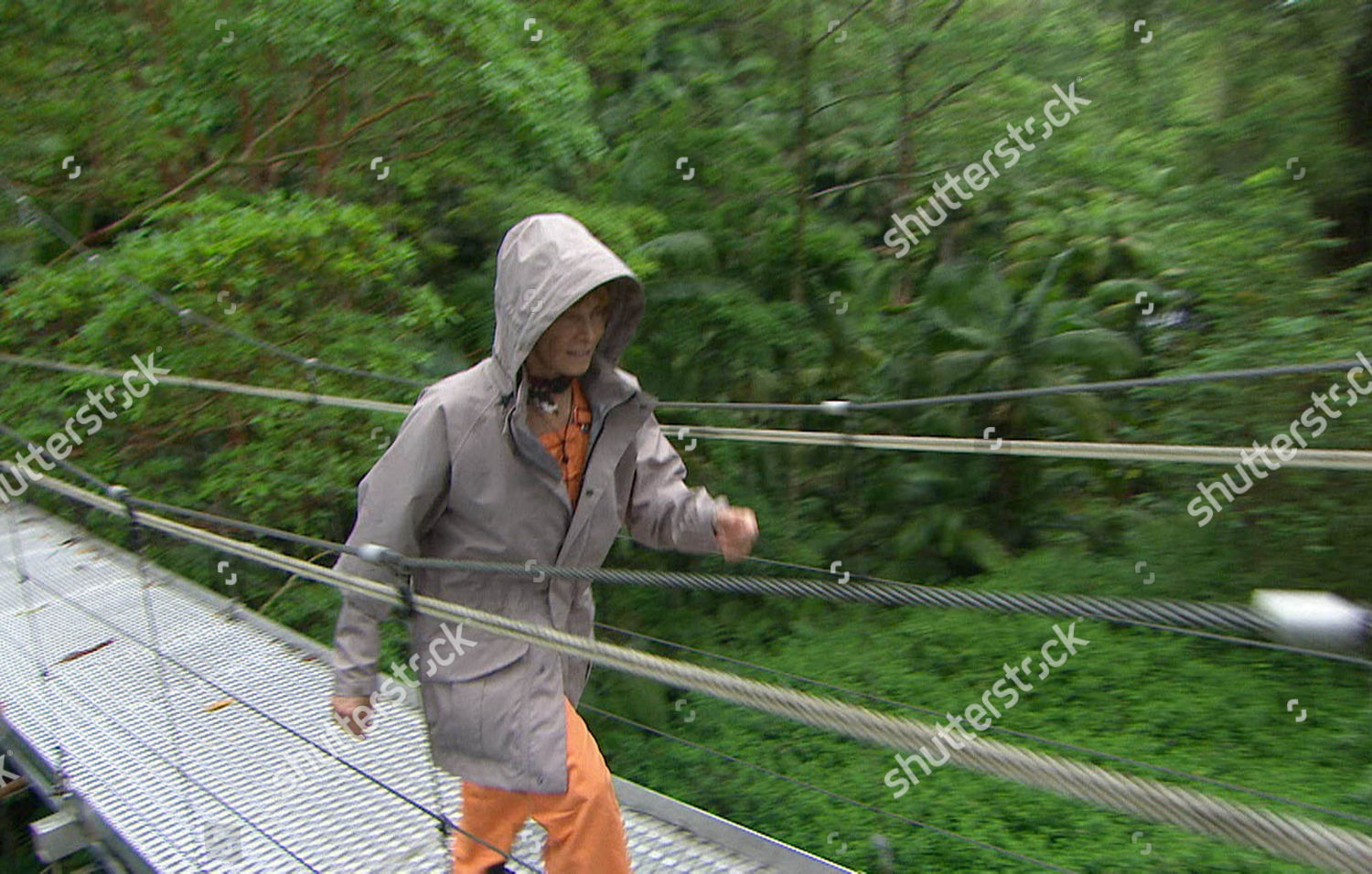 Stefanie Powers Editorial Stock Photo - Stock Image | Shutterstock