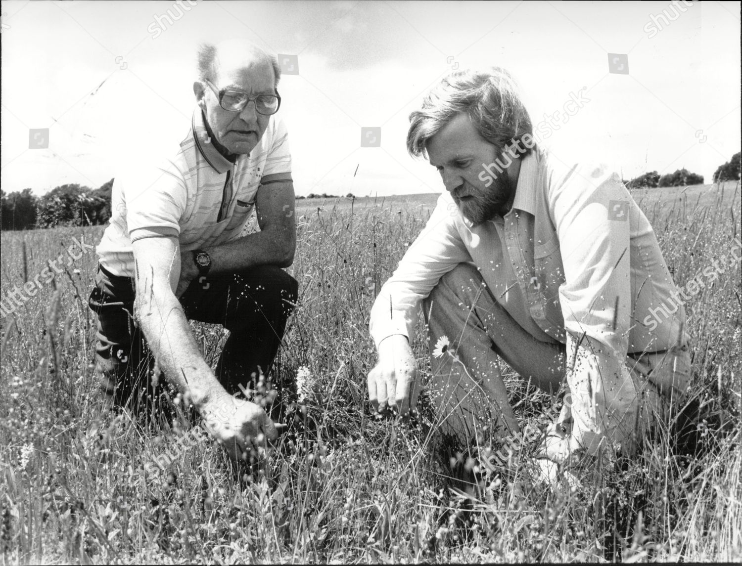 Ron Ward Dr Peter Brough Studying Editorial Stock Photo - Stock Image ...