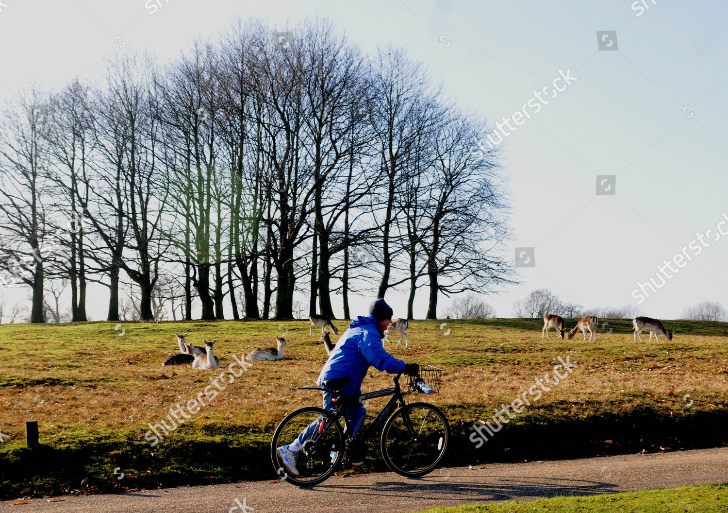 knole park cycling