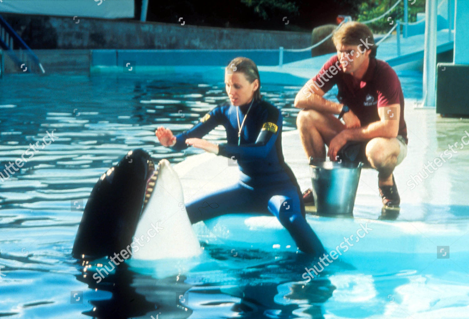 Jaws 3d Bess Armstrong Dennis Quaid Editorial Stock Photo Stock Image Jaws 3d Bess Armstrong Dennis Quaid Editorial Stock Photo Stock Image