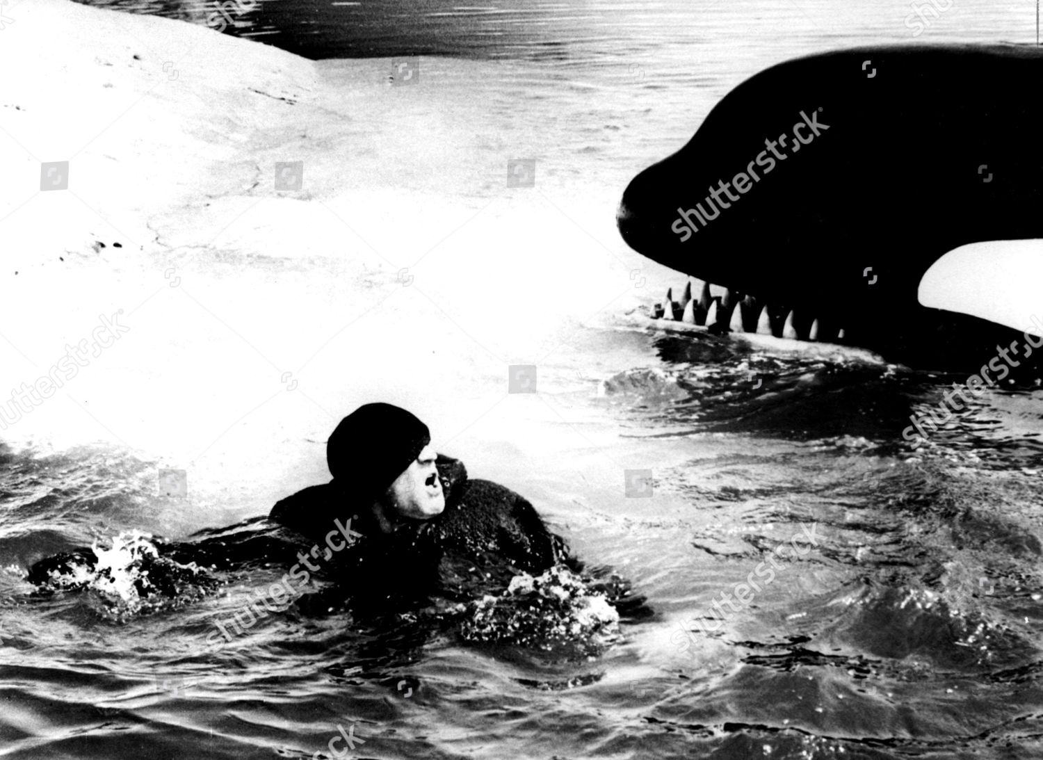 Orca Killer Whale Richard Harris Editorial Stock Photo Stock Image Shutterstock