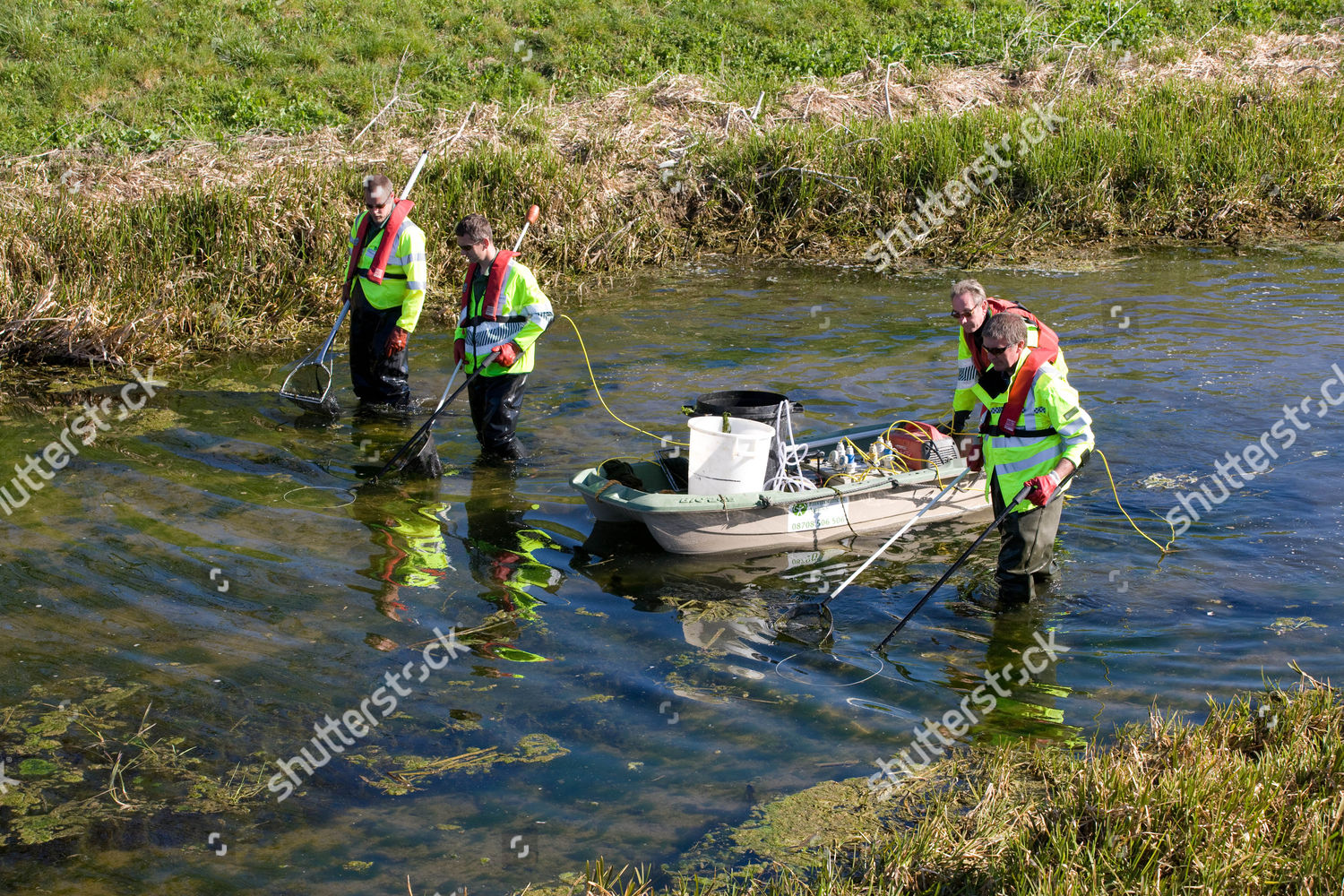 environment-agency-officers-rescuing-fish-9k-editorial-stock-photo