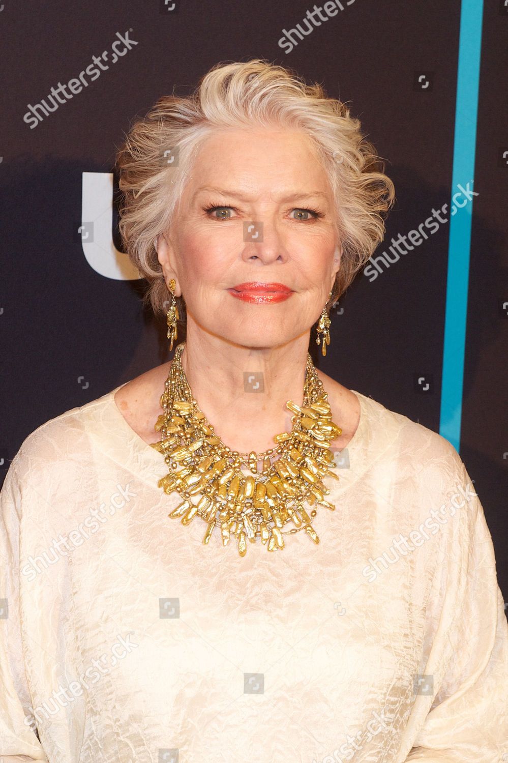 Ellen Burstyn Editorial Stock Photo - Stock Image | Shutterstock