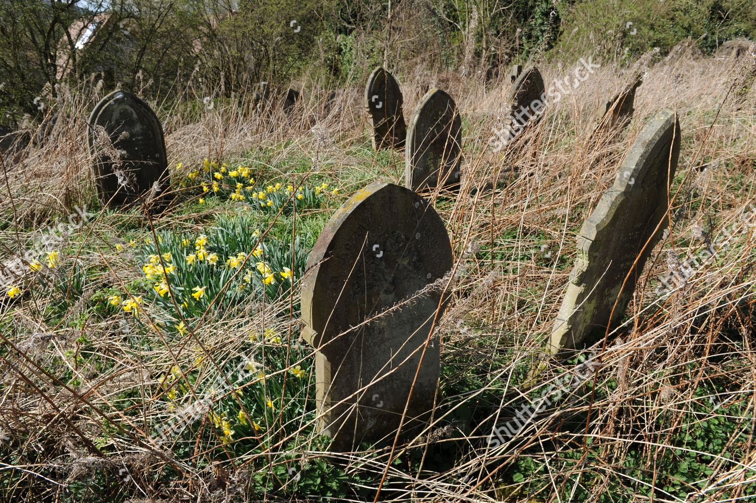 Leaning Headstones Ludlow Cemetery Shropshire England Editorial Stock