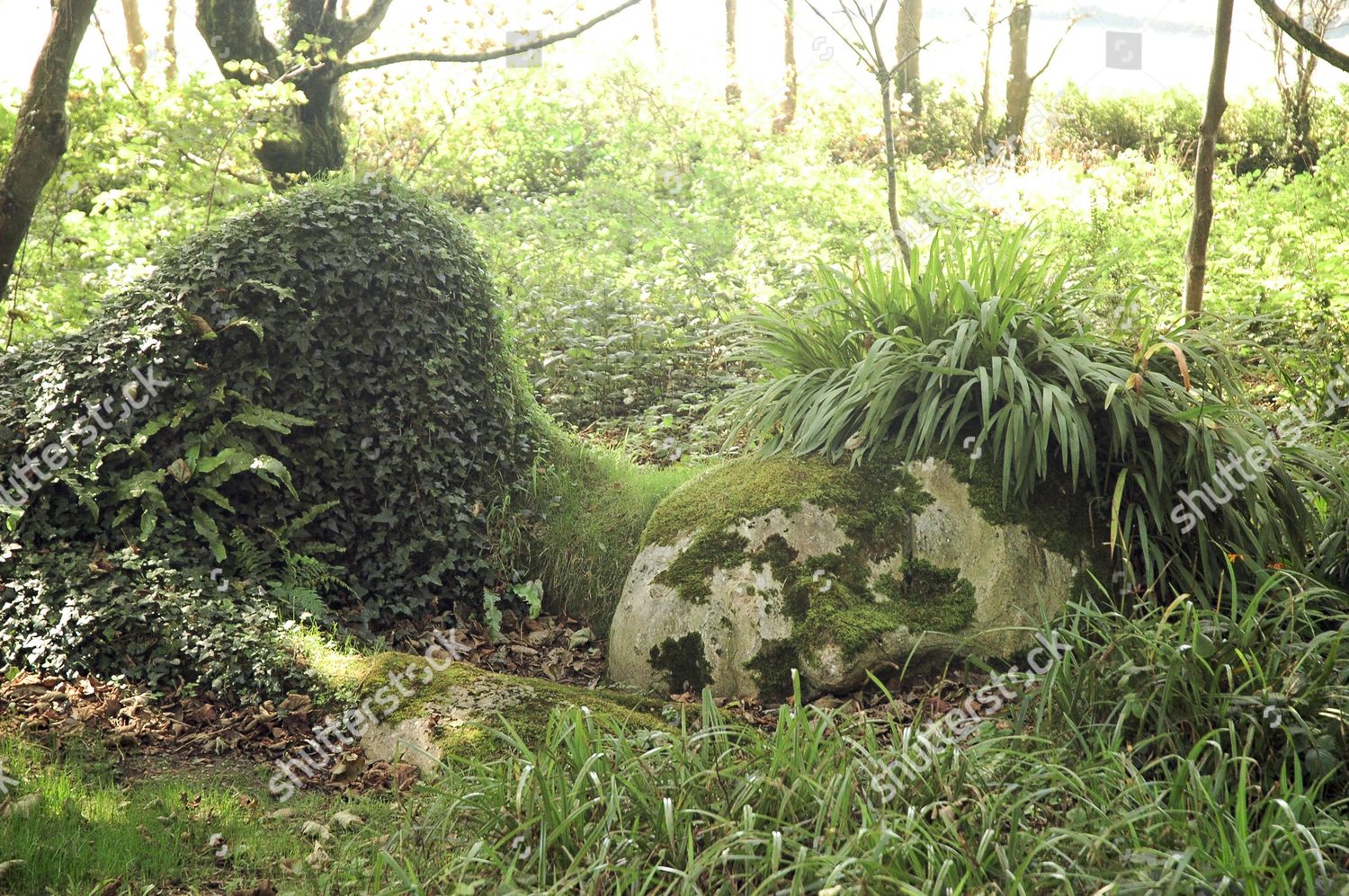 Mud Maid Sculpture Lost Gardens Heligan Editorial Stock Photo - Stock ...