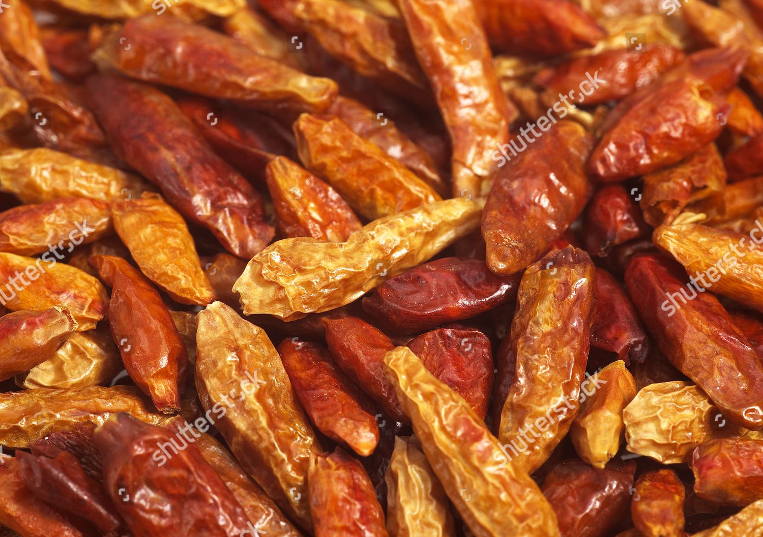 bird-pepper-capsicum-frutescens-close-condiment-editorial-stock-photo-stock-image-shutterstock