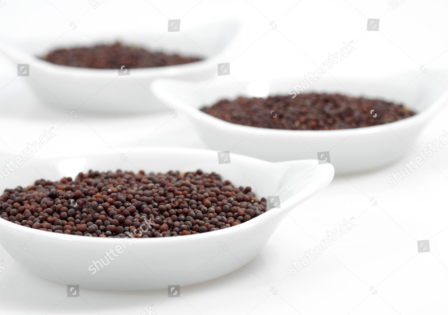 Black Mustard Seeds Sinapis Nigra Dry Editorial Stock Photo - Stock ...
