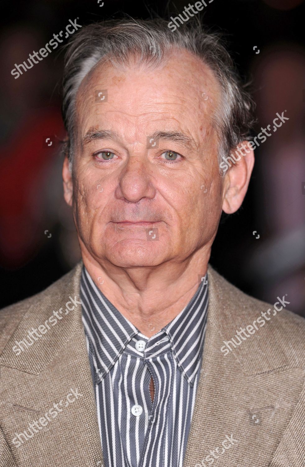 Bill Murray Editorial Stock Photo - Stock Image | Shutterstock