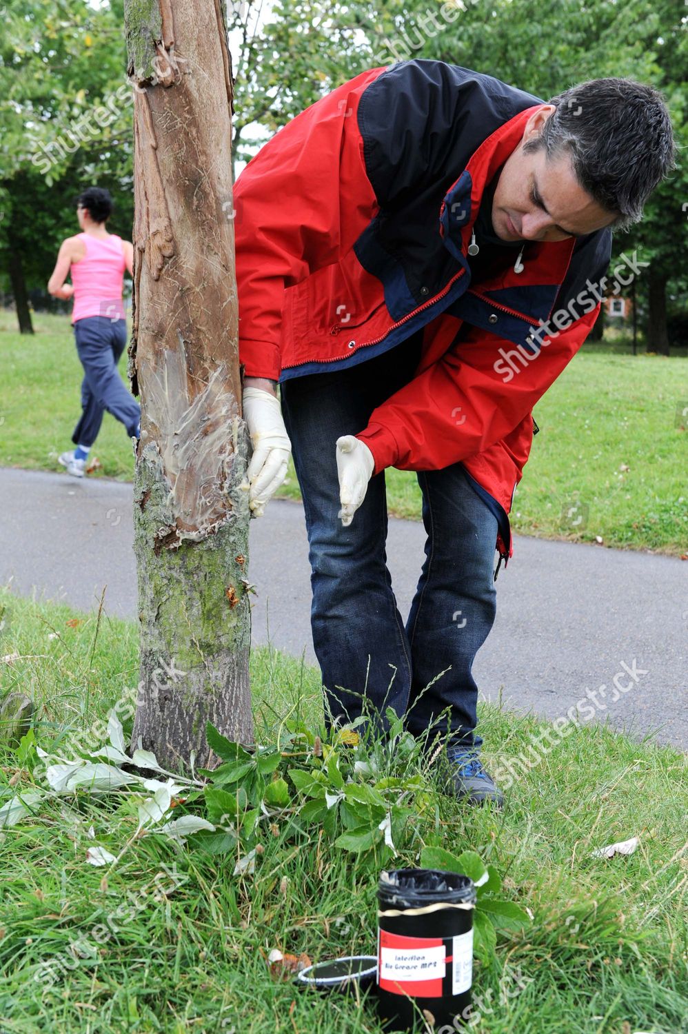 Southwark Council Tree Officer Raymond Editorial Stock Photo
