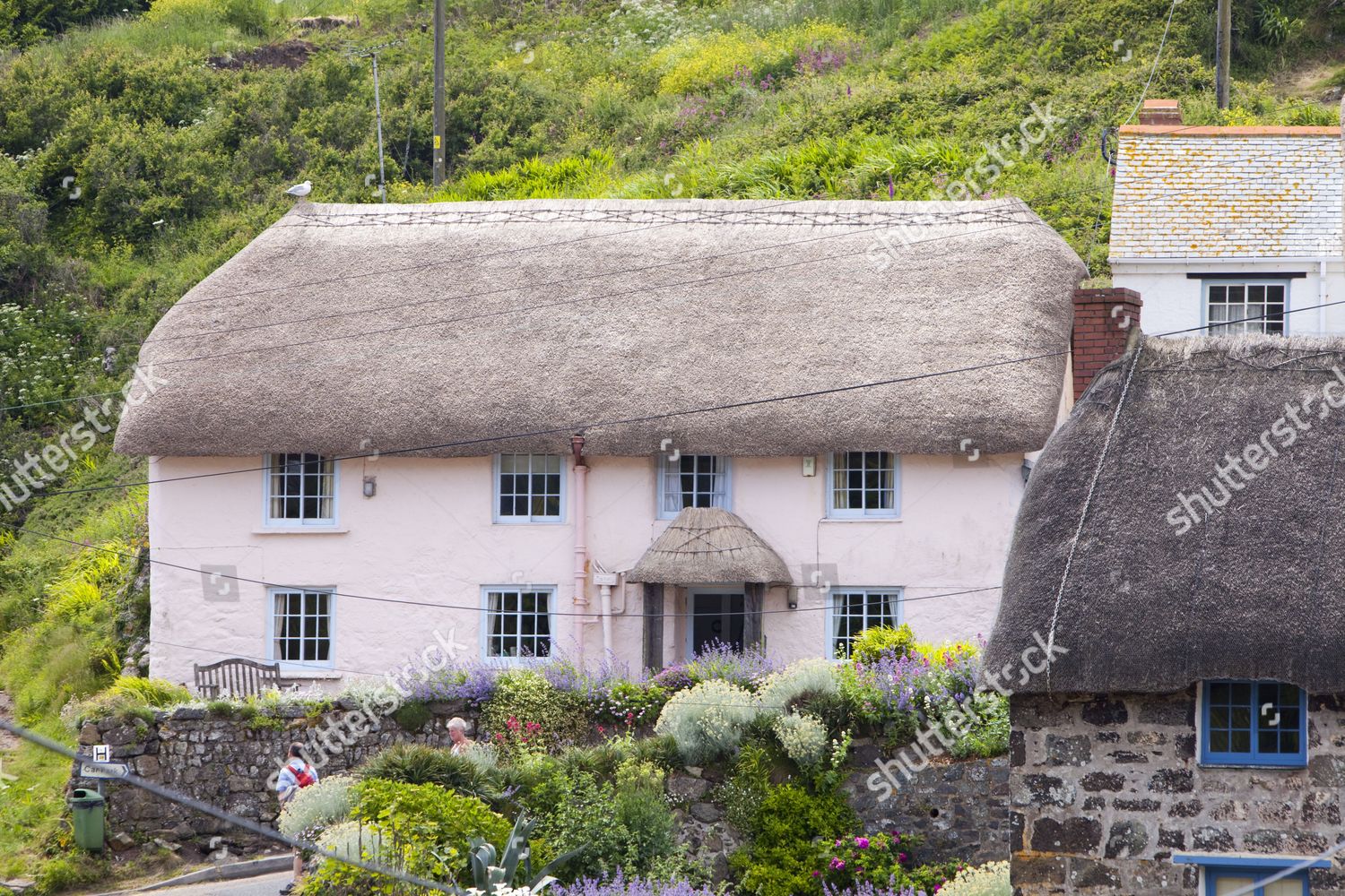 Thatched Cottages Cadgwith Pretty Cornish Fishing Village