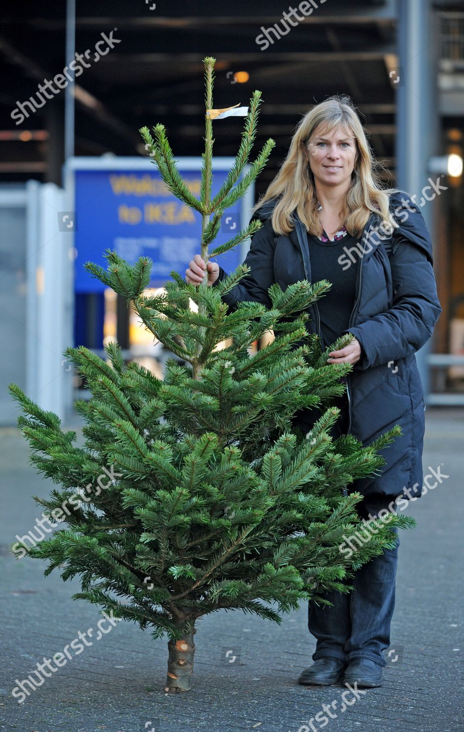 Teresa Bickle Leaves Ikea Her Tree Editorial Stock Photo Stock