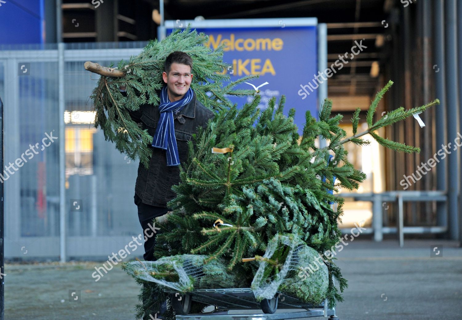 Reporter Abe Hawken Pictured Christmas Trees Sold Editorial Stock